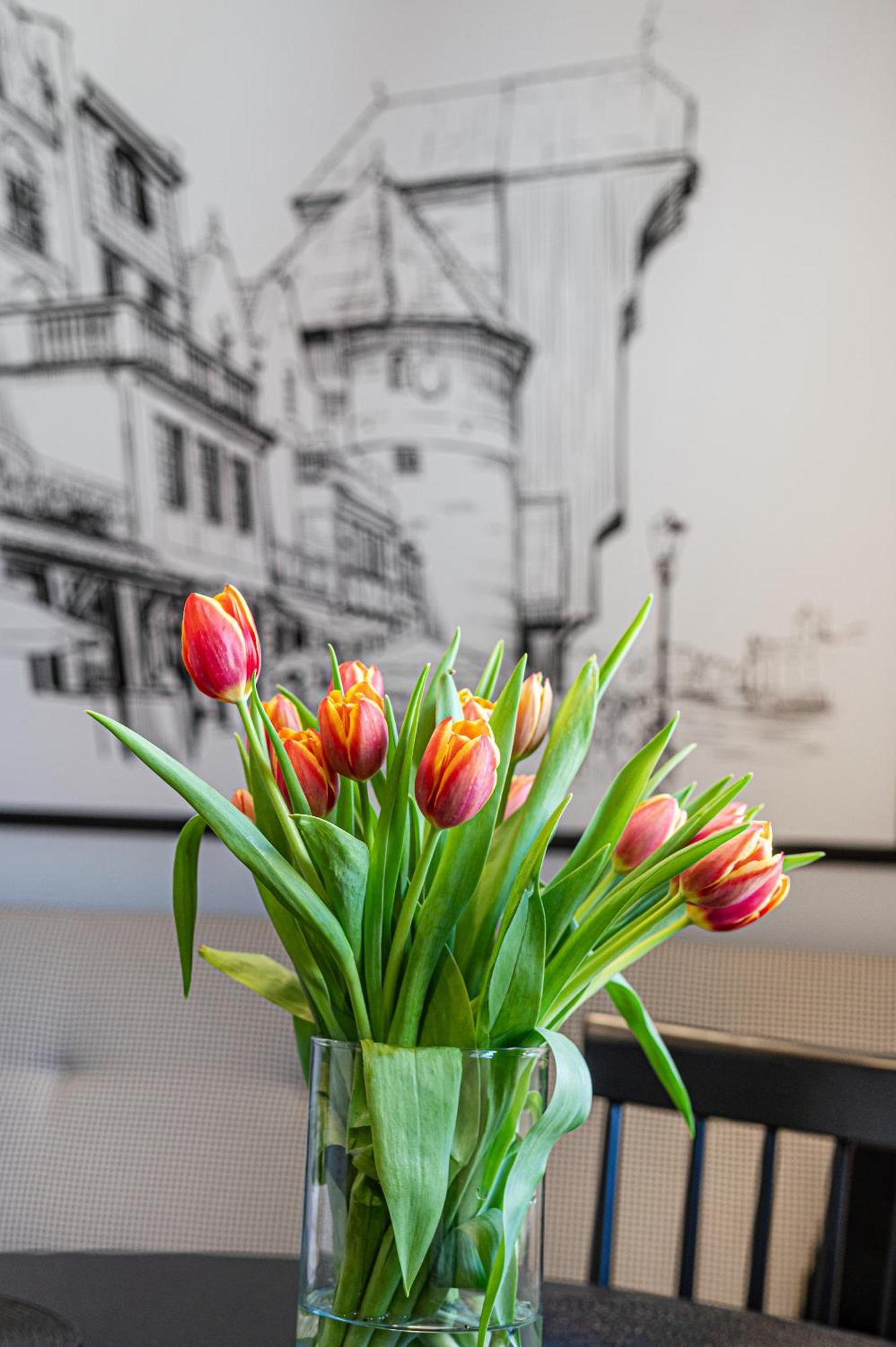 Leopold Winter Residence - Billberry Apartments Gdansk Dış mekan fotoğraf